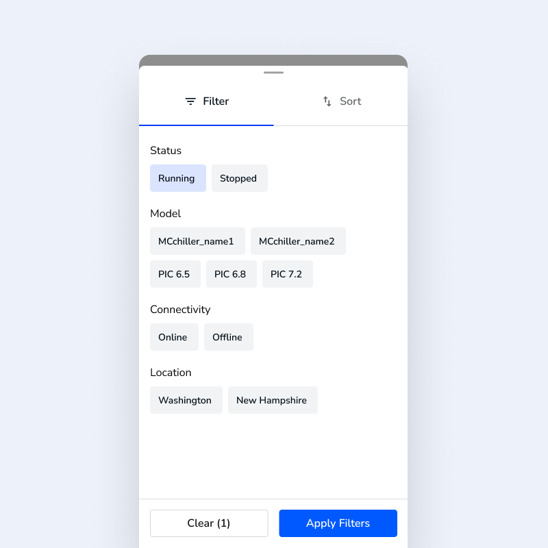 DataGrid filtering and sorting interface